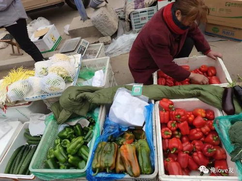 趕黃河大集，尋濟(jì)南年味——萊蕪魯西大集值得一逛